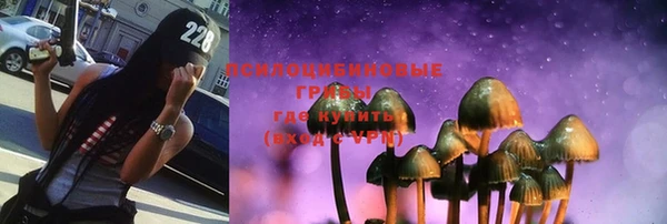 стаф Алзамай