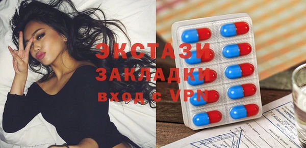 стаф Алзамай