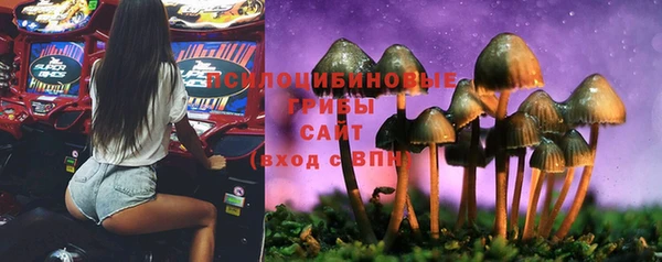 мет Алексеевка