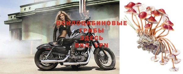 мет Алексеевка