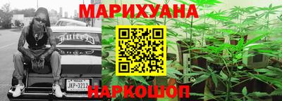 индика Краснознаменск