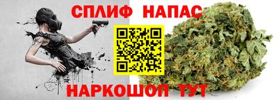 индика Краснознаменск